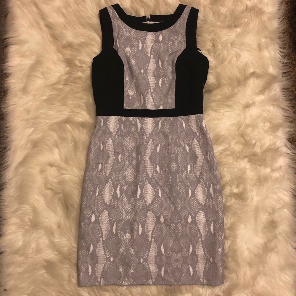 Calvin Klein Dress